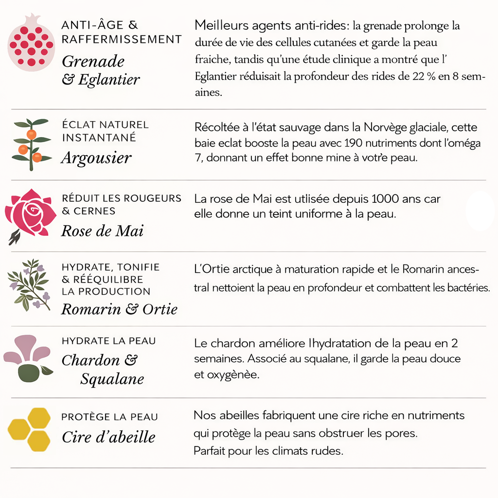 Baume de jour anti-âge et éclat intense