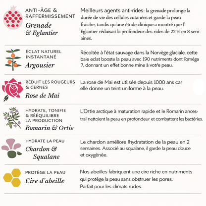 Baume de jour anti-âge et éclat intense